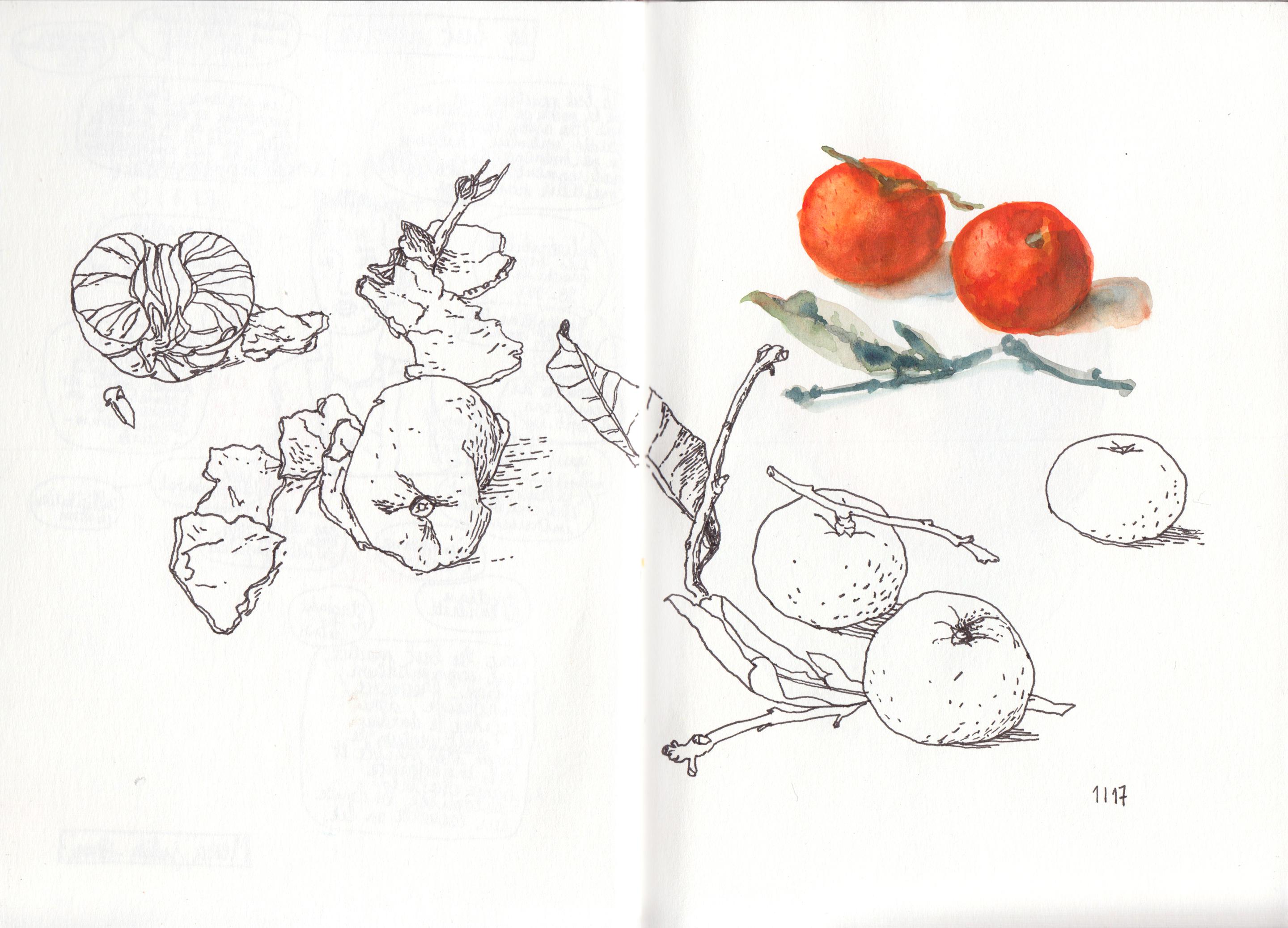clementines