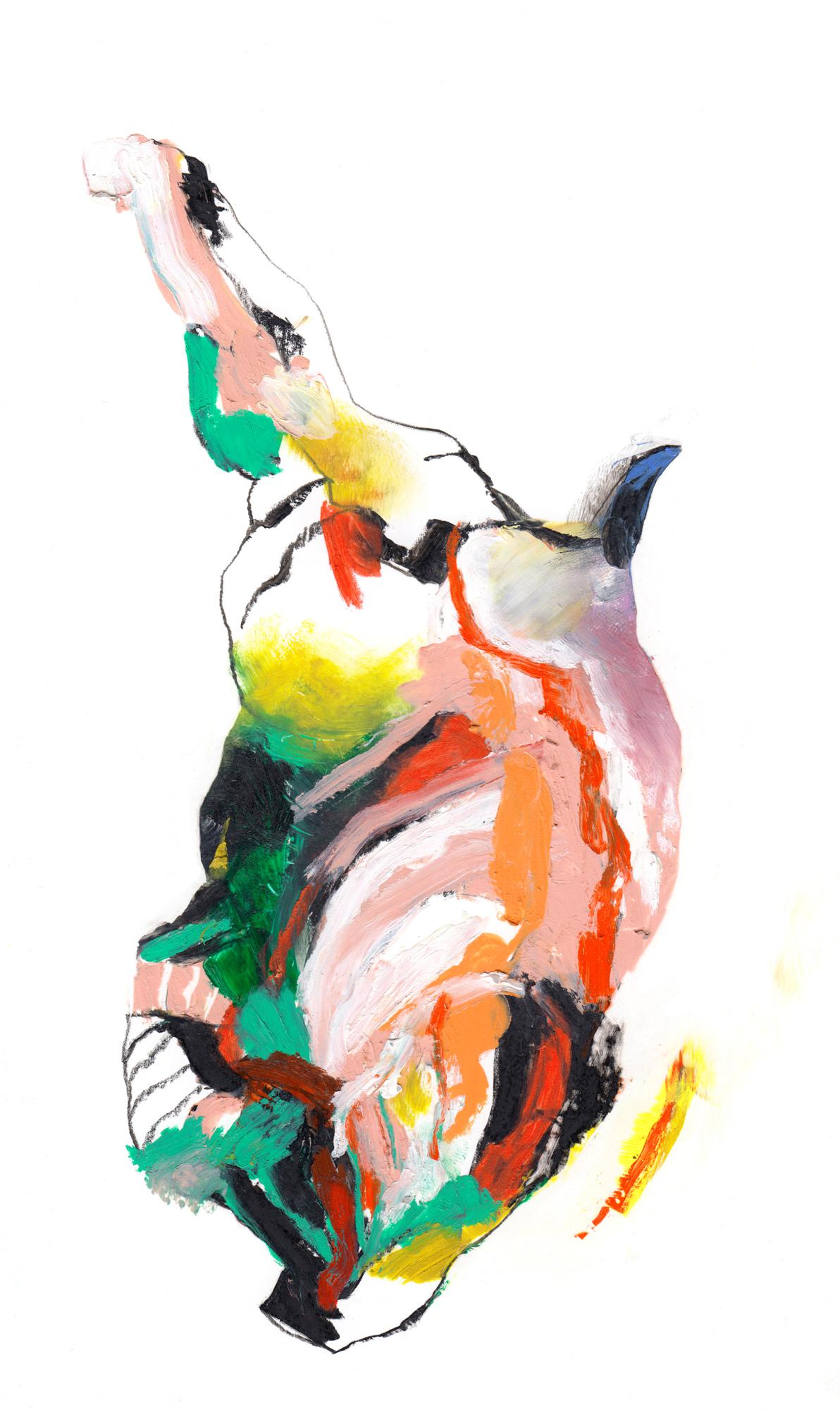 anatomie