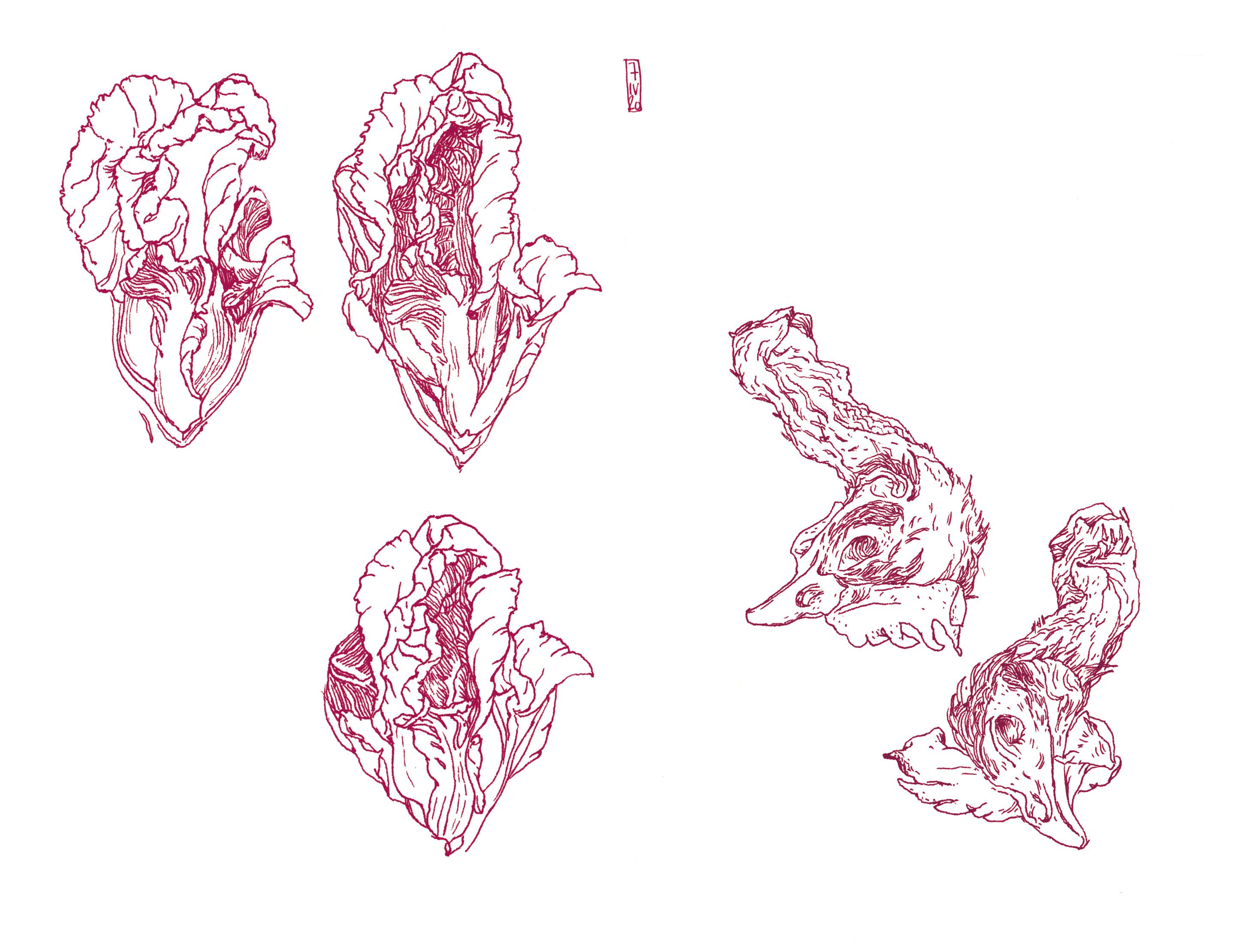 choux
