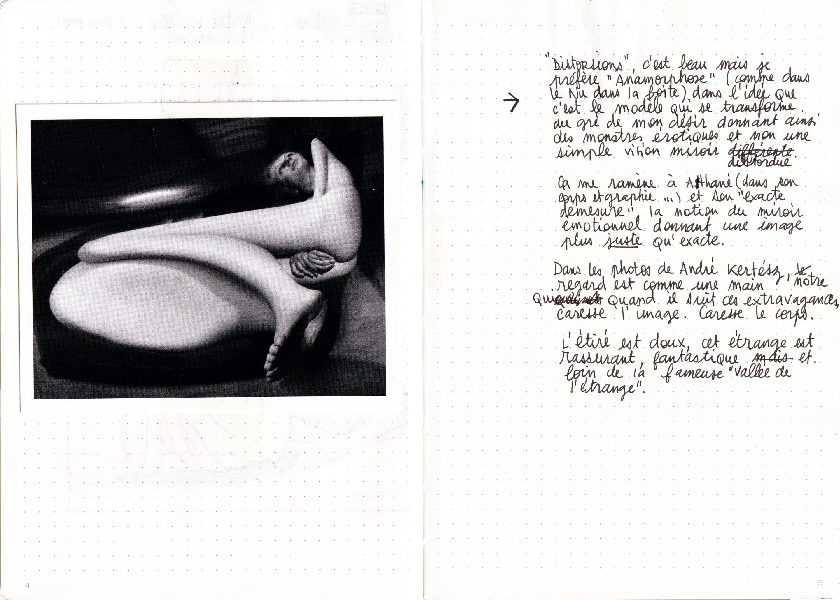 kertesz